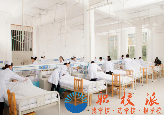 2019年四川大學(xué)附設(shè)華西衛(wèi)生學(xué)校(公辦)招生簡章