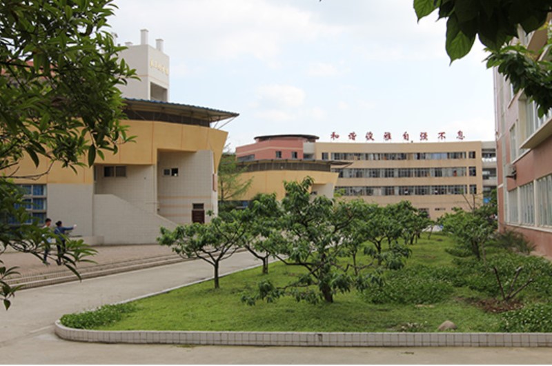 四川護(hù)理職業(yè)學(xué)院成都校區(qū)校園一角