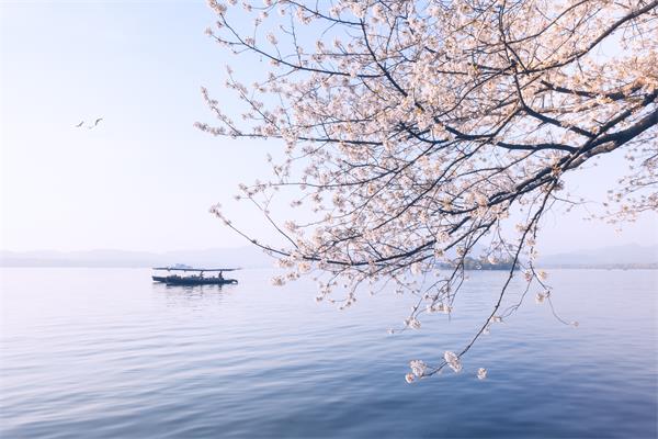 旅游管理就業(yè)前景