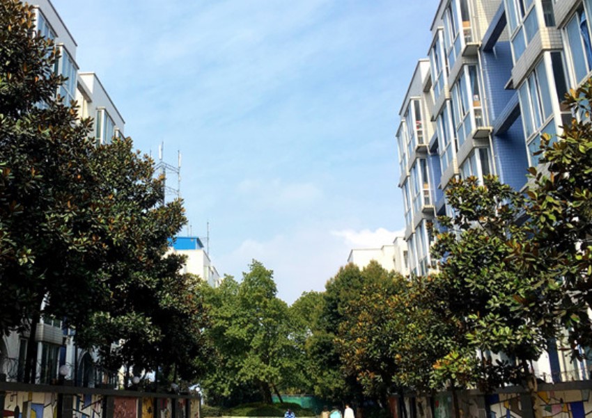 四川大學(xué)附設(shè)華西衛(wèi)生學(xué)校校園一角