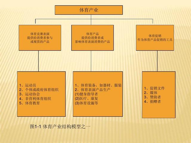 體育專業(yè)就業(yè)前景