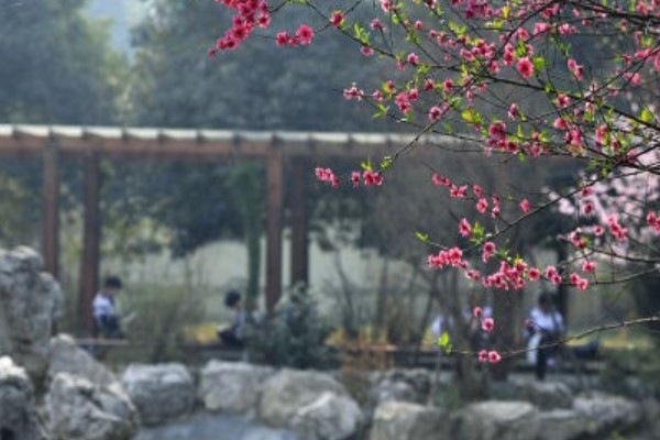 美麗的校園