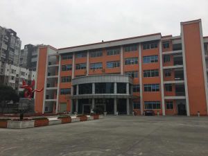 成藝附中2019年招生簡(jiǎn)章