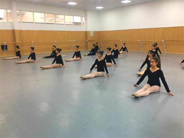 成藝附中2019年招生簡(jiǎn)章
