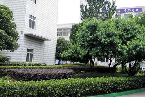 成都市中山職業(yè)技術學校2019年招生簡章 你想知道的都在這里