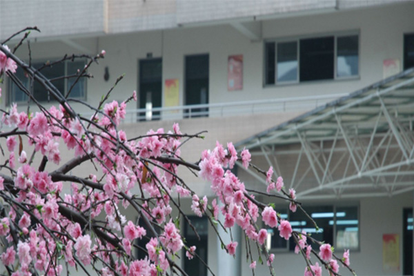 成都市財(cái)貿(mào)職業(yè)高級(jí)中學(xué)校