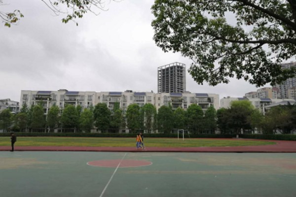 02.jpg