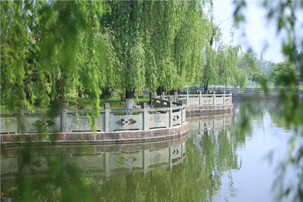 現(xiàn)代藝術(shù)學(xué)校