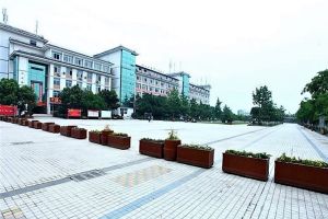 2019年四川現(xiàn)代藝術(shù)職業(yè)中專學(xué)校專業(yè)介紹