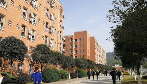 四川省雙流建設職業(yè)技術學校