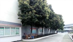 成都市莊園機電職業(yè)技術(shù)學校