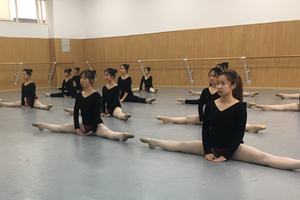 成都藝術(shù)高中