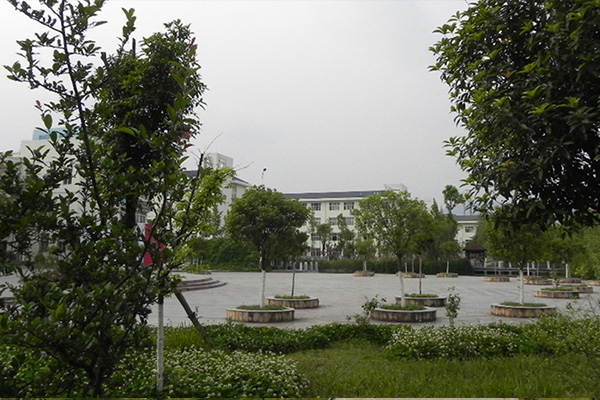 成都棠湖科學(xué)技術(shù)學(xué)校怎么樣