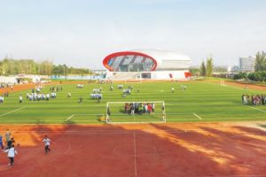 2020四川師范大學(xué)幼師學(xué)院招生簡(jiǎn)章以及招生條件