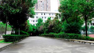 四川省簡陽市高級(jí)職業(yè)中學(xué)