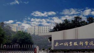 樂山職業(yè)技術學院