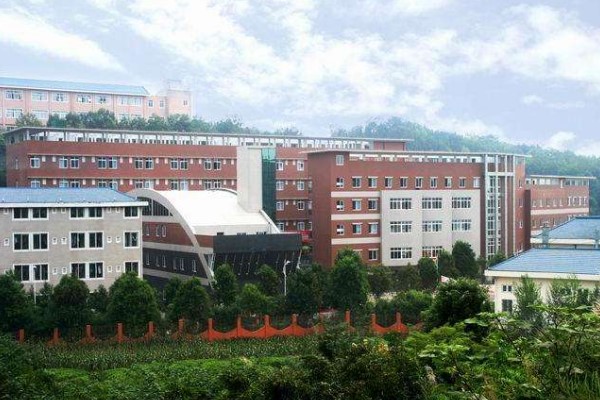 綿陽市藝術(shù)學(xué)校2020年招生簡章