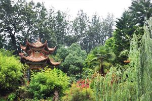 2020西昌職業(yè)技術(shù)學(xué)校最新排名