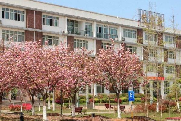 職業(yè)高中