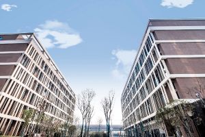 四川職業(yè)院校川北幼兒師范高等?？茖W校招聘人員公告