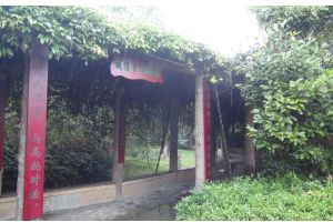 成都中專學(xué)校蜀興職業(yè)中學(xué)優(yōu)勢有哪些