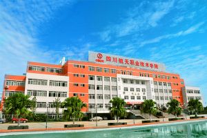 成都中專學(xué)校四川師范大學(xué)幼師學(xué)院就業(yè)回訪