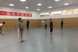 四川文化藝術(shù)學院2020年校本部考點藝術(shù)類專業(yè)校考公告