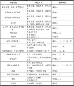 四川職業(yè)院校四川文化藝術(shù)學院2020年藝術(shù)類專業(yè)?？脊? />              </div>
              <div   id=