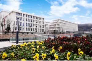 四川職業(yè)院校天府新區(qū)信息職業(yè)學(xué)院2020年高職單招章程