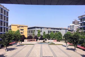 四川職業(yè)院校四川文化藝術(shù)學院開展志愿活動
