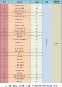 2020年成都高校四川汽車職業(yè)技術學院單招考試題型示例