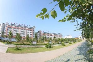 四川職業(yè)院校單招|2020年四川交通職業(yè)技術(shù)學(xué)院?jiǎn)为?dú)招生考試大綱