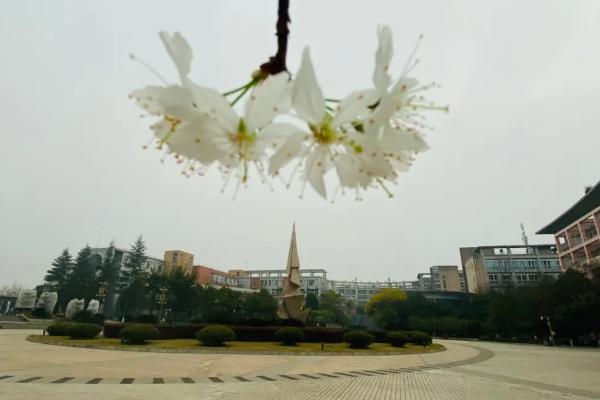 四川城市技師學院