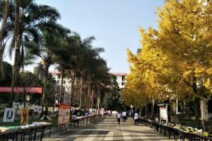 四川中職院校開“云教研” 四川城市技師學院造“云課堂”