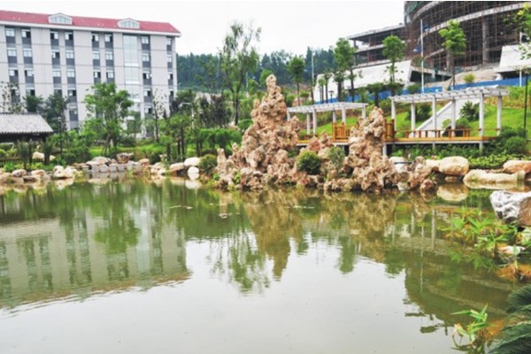 成都高中學校樹德懷遠中學不忘初心共戰(zhàn)“疫”