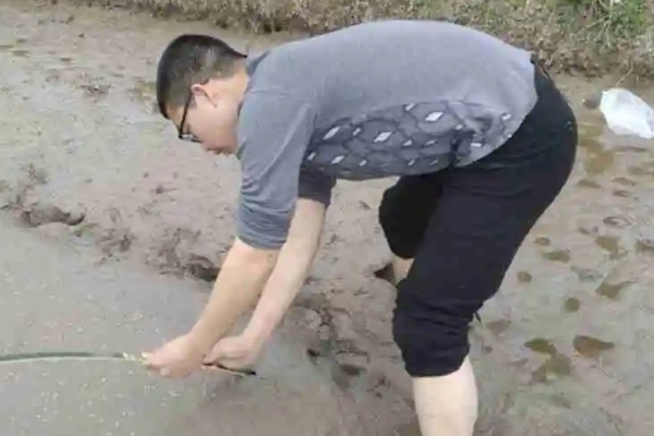 成都中專學(xué)校