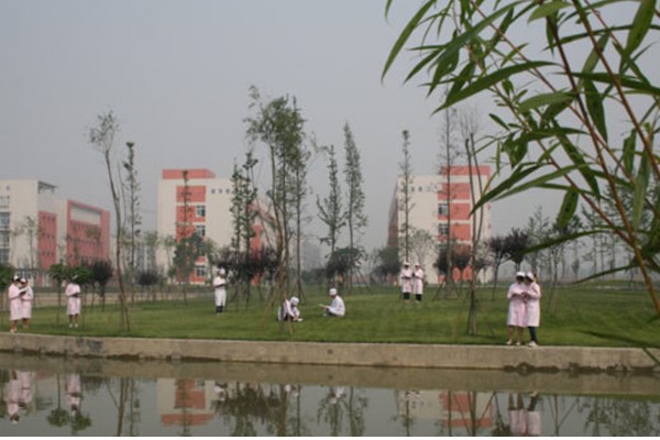 四川師范大學(xué)幼師學(xué)院