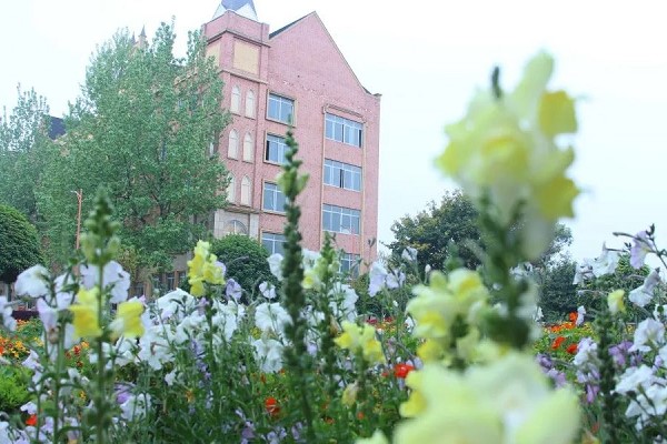 五月花學(xué)校