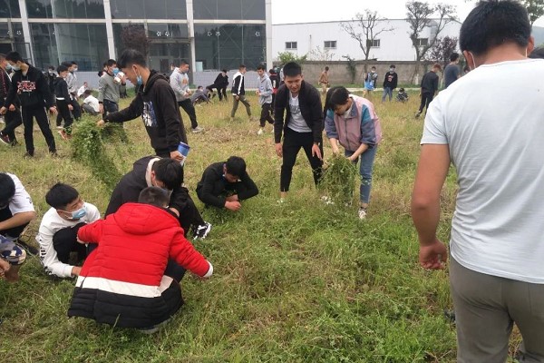 四川理工技師學院學生勞動最美