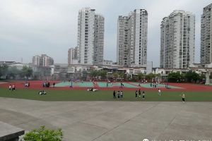四川職業(yè)技術(shù)學(xué)校遂寧職校研討“辦學(xué)理論體系"