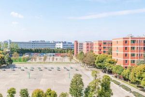 四川高職院校樂山職業(yè)技術(shù)學(xué)院2020年單獨招生考試公告