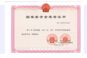 四川城市技師學(xué)院喜報|恭喜獲得國家獎學(xué)金