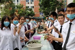 成都華商理工職業(yè)學校舉行迎端午實踐活動