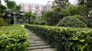 成都華商理工職業(yè)學校哪些專業(yè)比較好