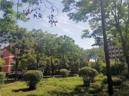在四川理工技師學(xué)院哪些專業(yè)就讀比較好