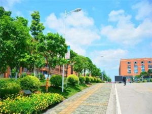 四川五月花技師學(xué)院技校與中專、職校的區(qū)別?哪個最適合你？