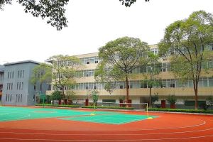 成藝附中怎么樣 2020年成藝附中分?jǐn)?shù)線