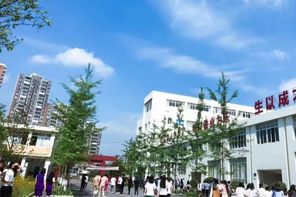 華達(dá)高中在哪里