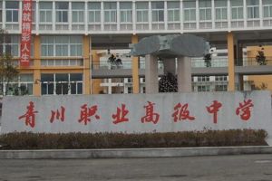 2021四川省青川縣職業(yè)高級中學(xué)招生簡章|招生專業(yè)|條件