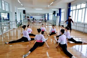 四川師范大學幼師學院招生條件_幼師學院好不好